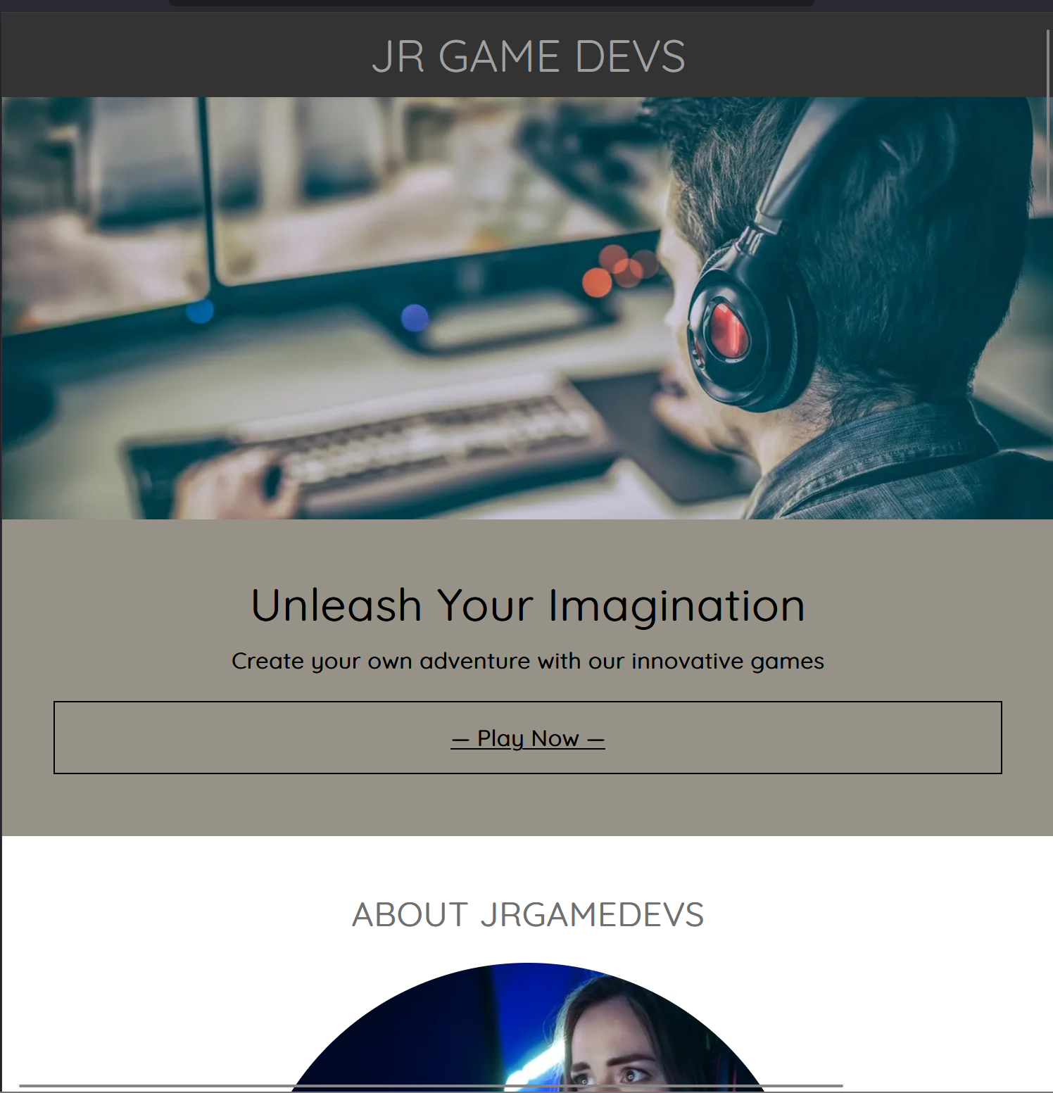 Professional Website